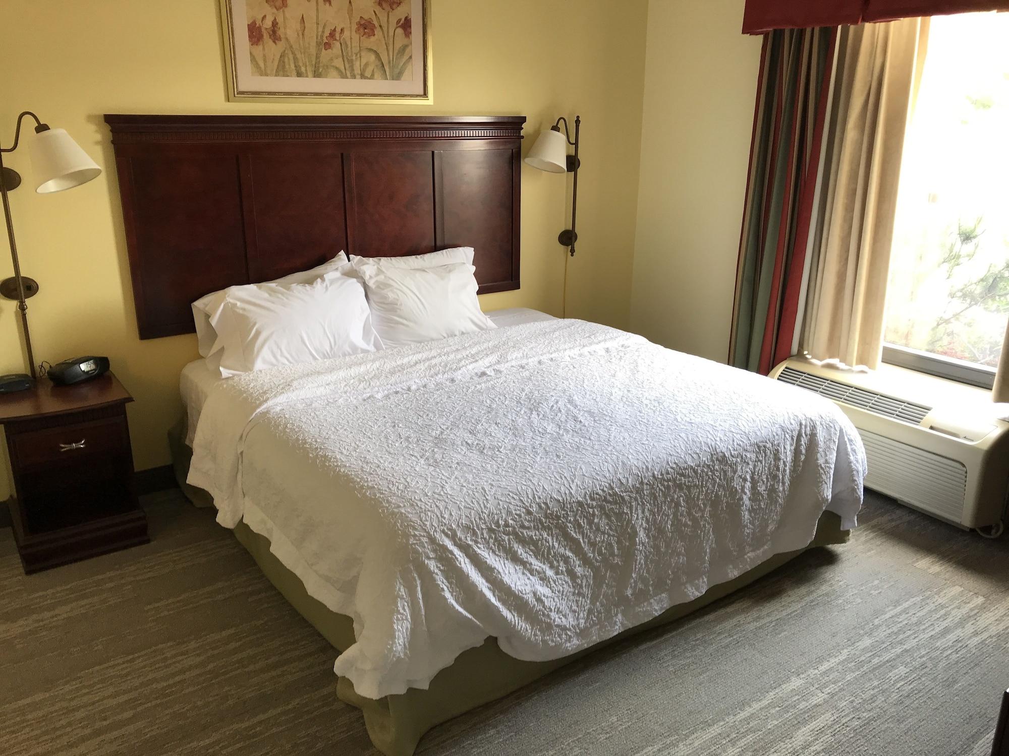 Hotel Hampton And Of Lamar 3*