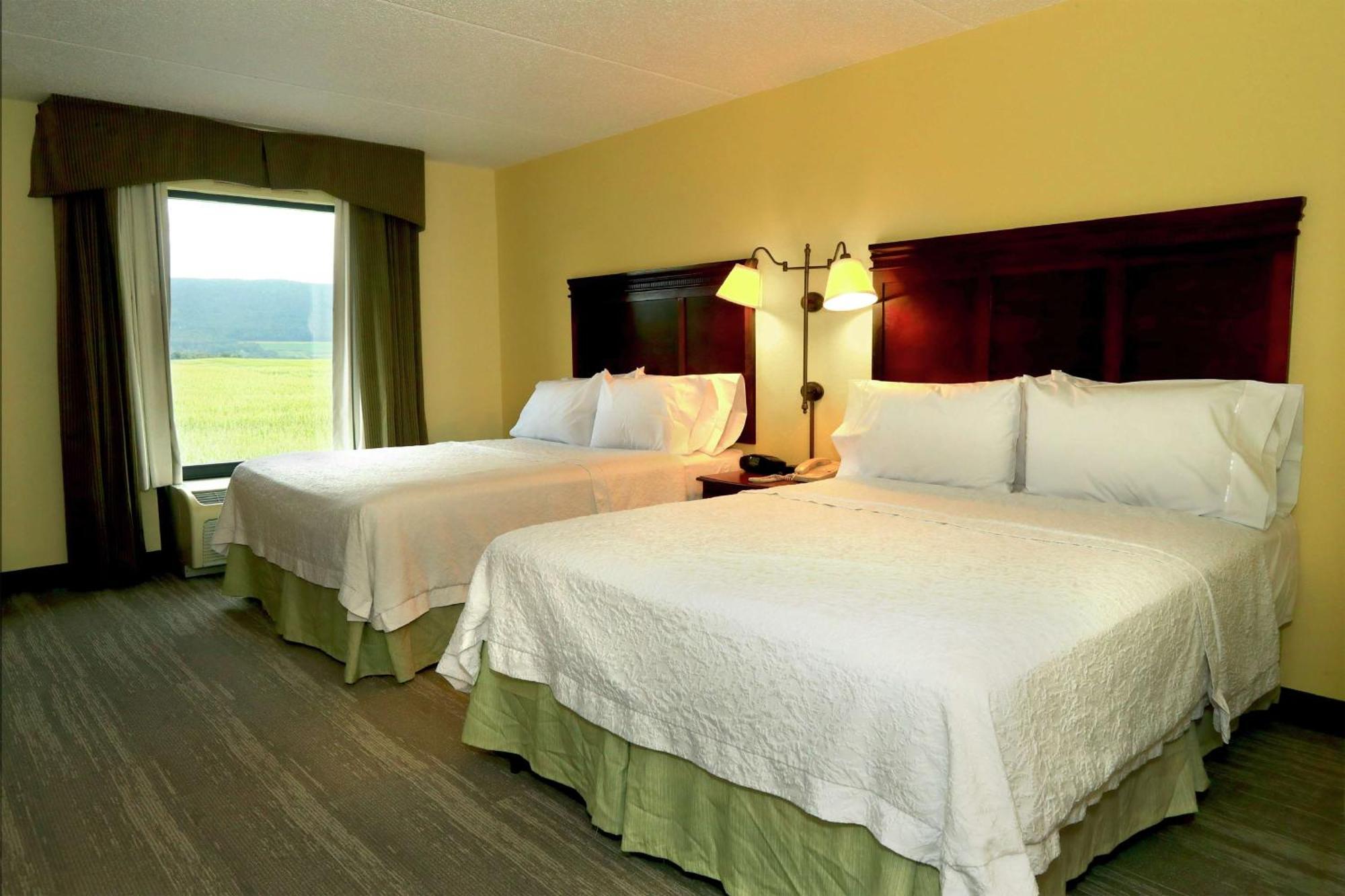 Hotel Hampton And Of Lamar 3*